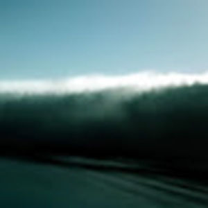 Meet your Posher, Tryn